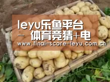 产品展示标题3