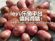 产品展示标题5(图1)
